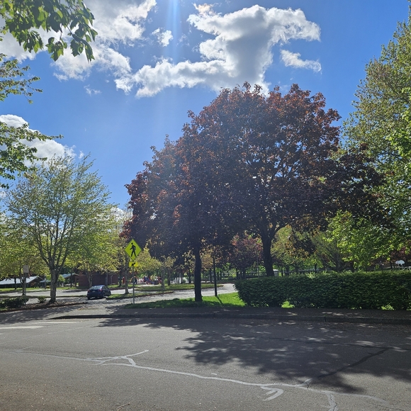 Pop-Up Live Show Listing - Picture 6 of 9